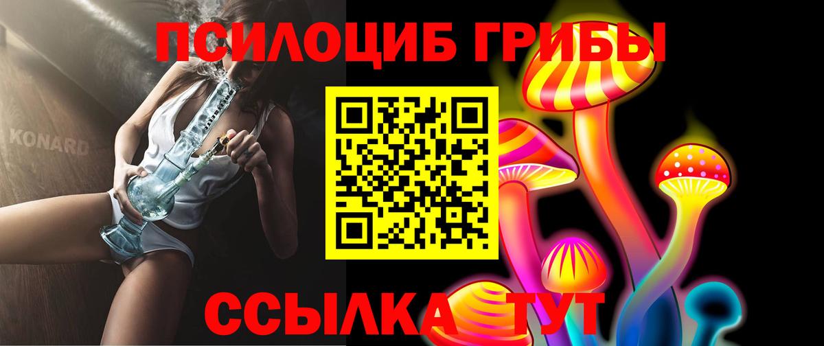 Псилоцибиновые грибы Cubensis Волоколамск